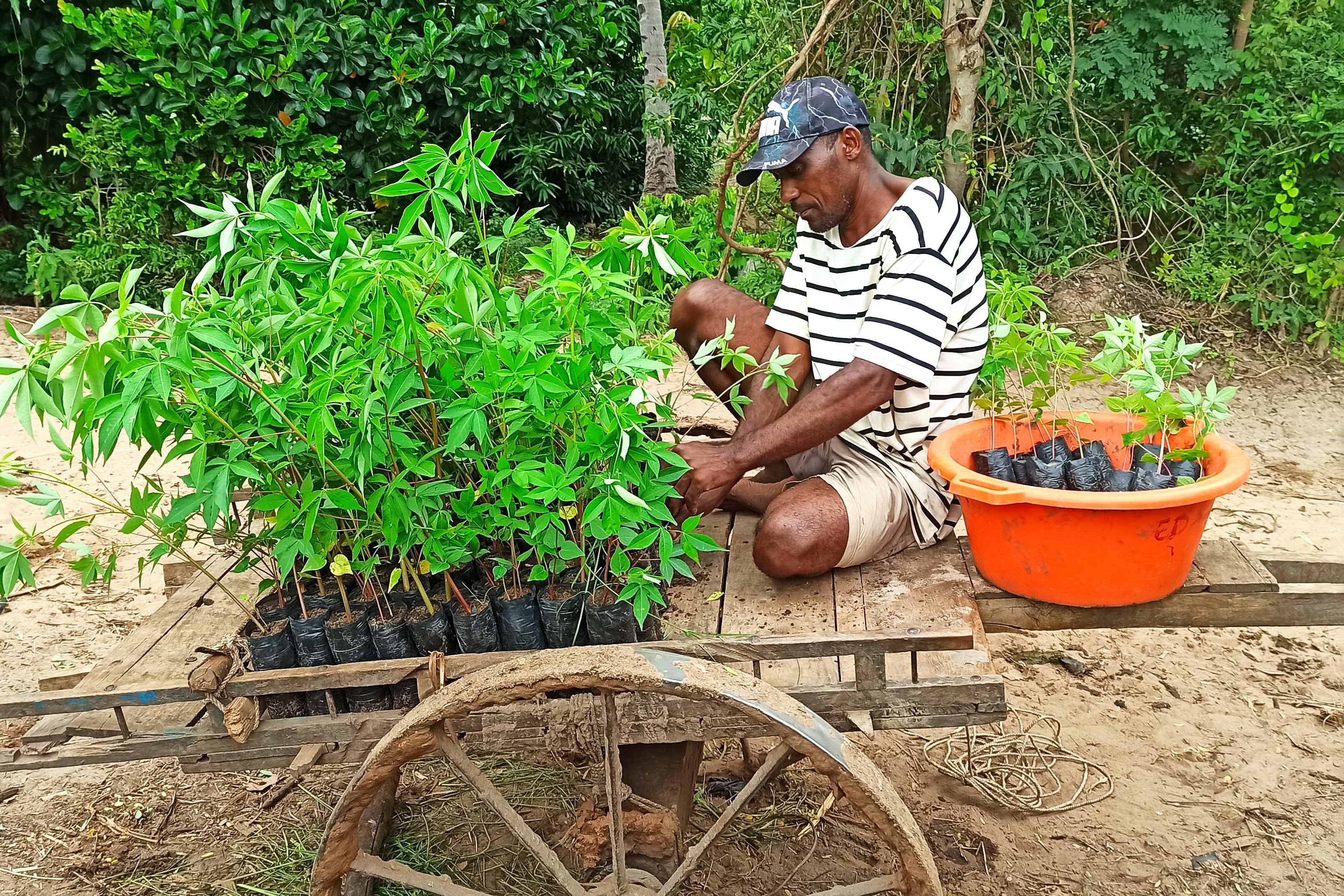 Plant 2 Mangrove Trees in Madagascar - RUM Amsterdam
