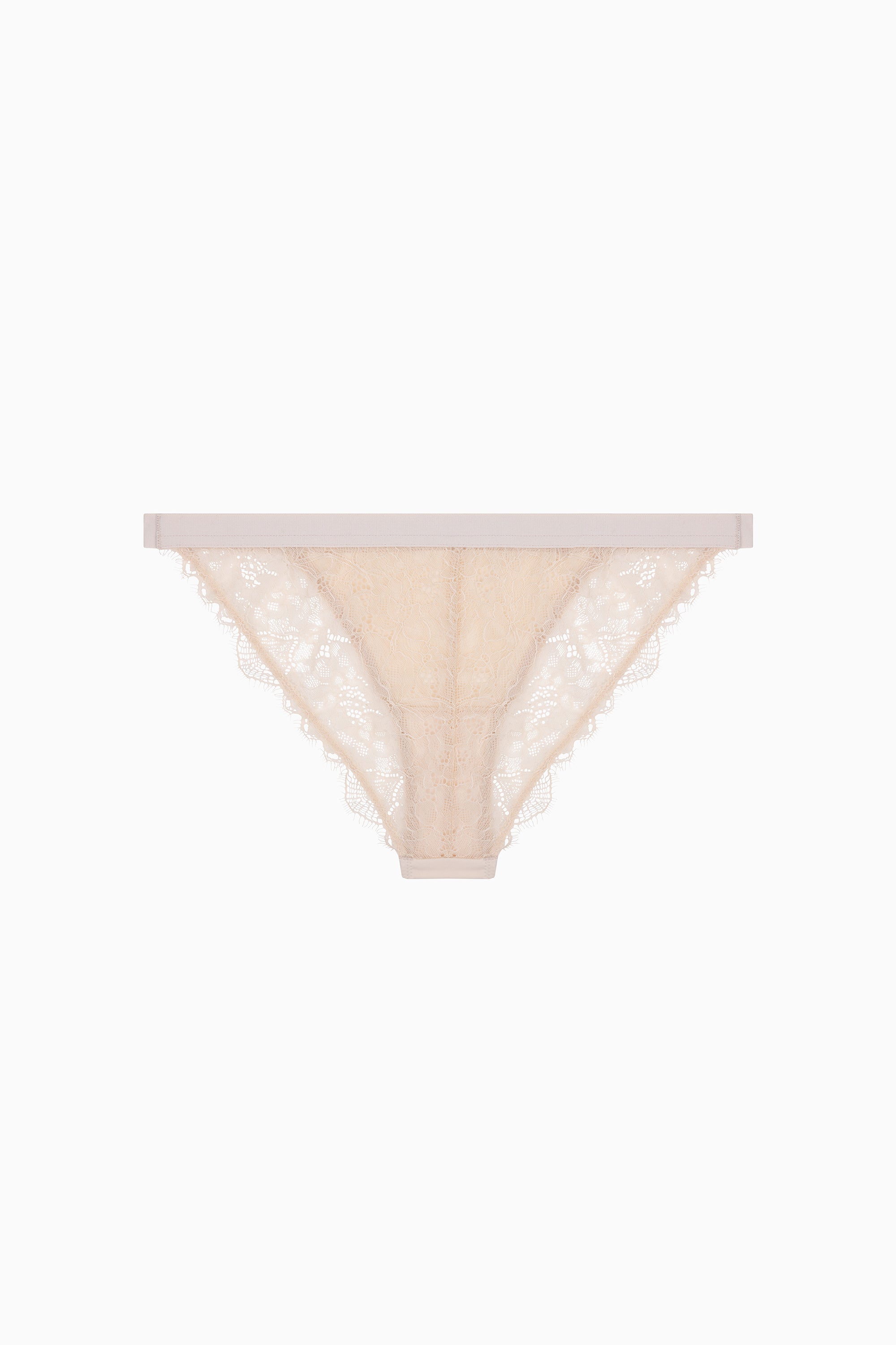 Wild Rose Comfortable Lace Briefs - Off White