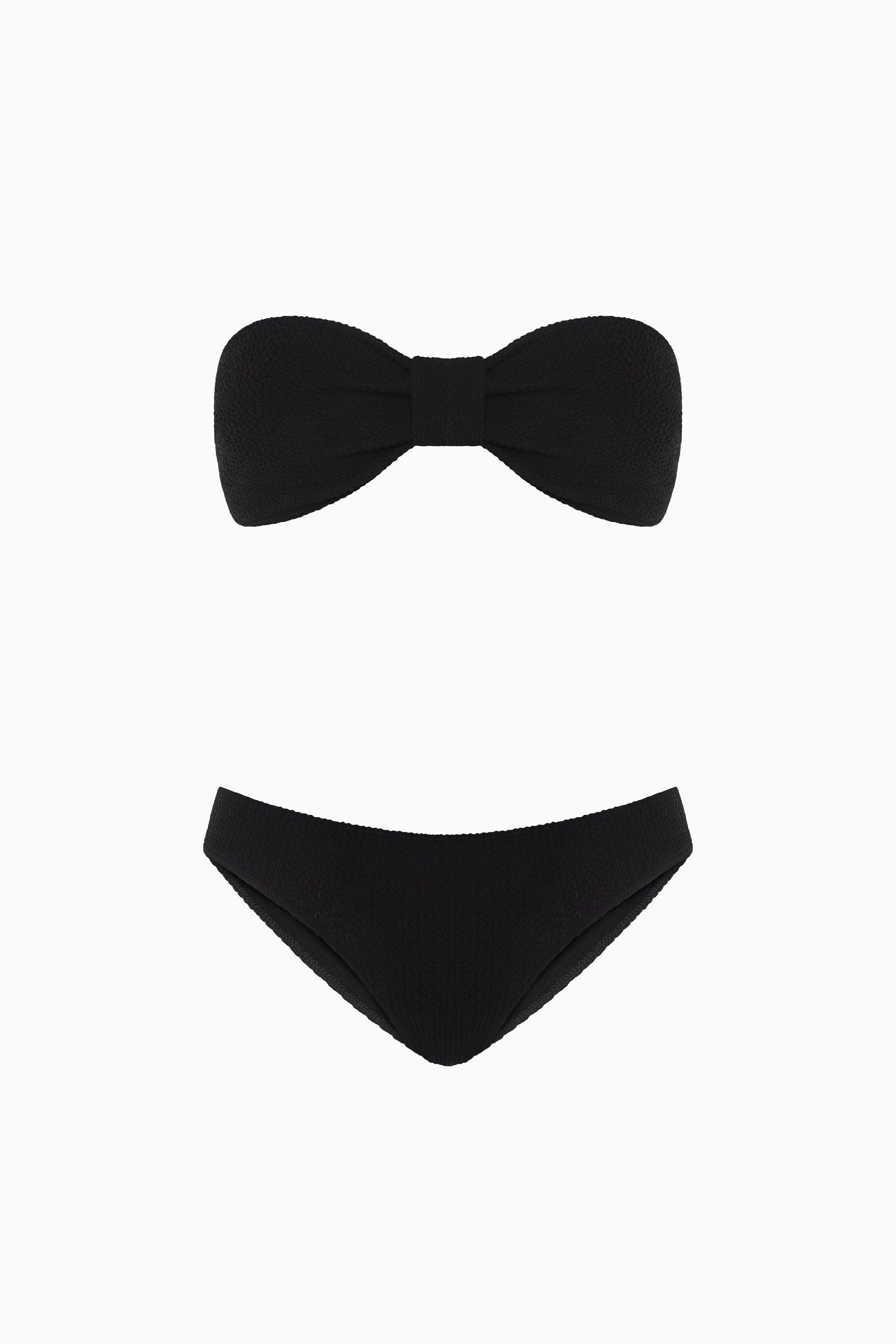 Bikini Lory - Liquorice