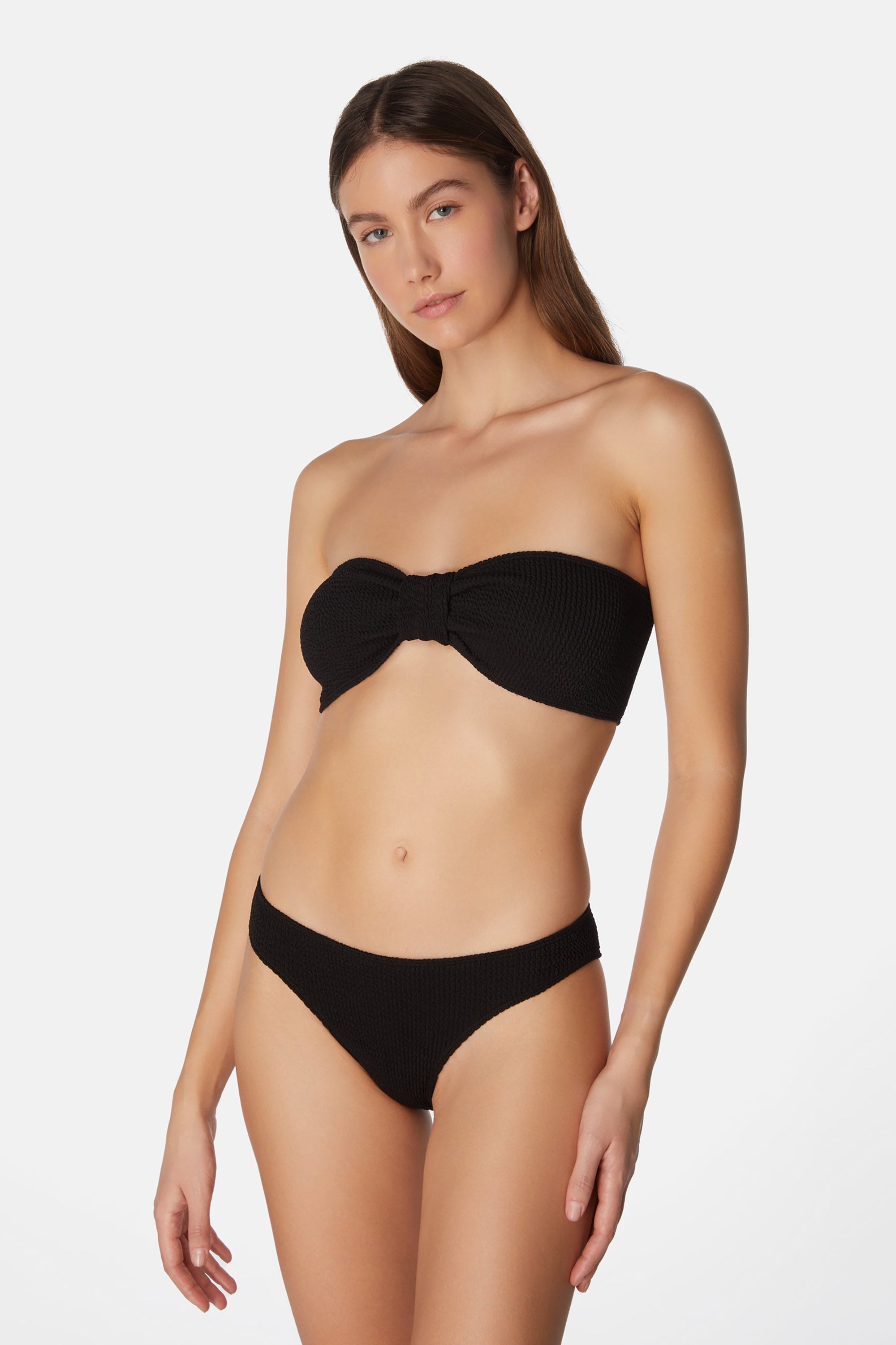 Bikini Lory - Liquorice