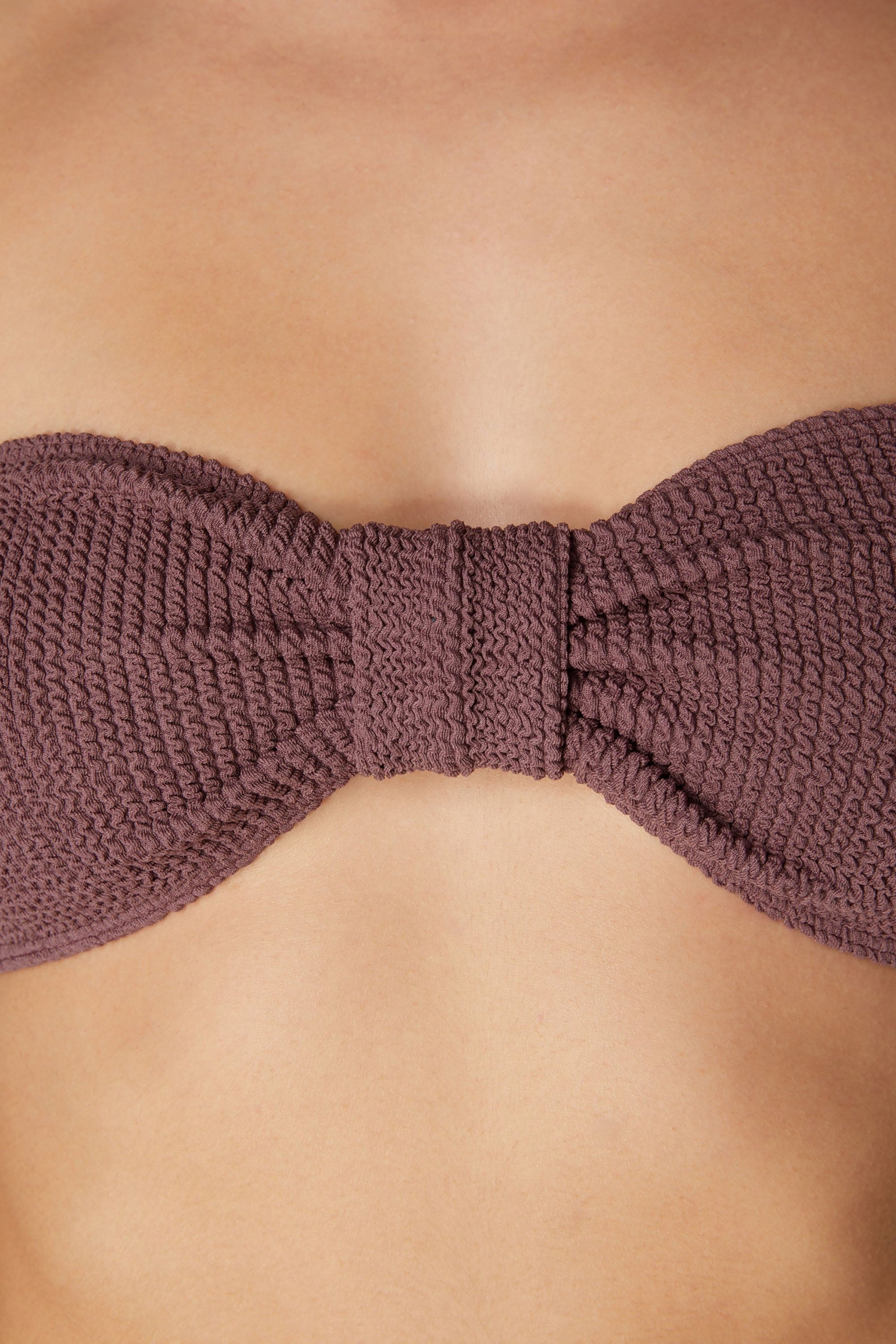 Bikini Lory - Grape